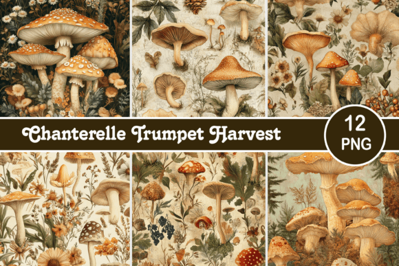 Chanterelle Trumpet Harvest: A Deep Dive into a Distinctive Typeface